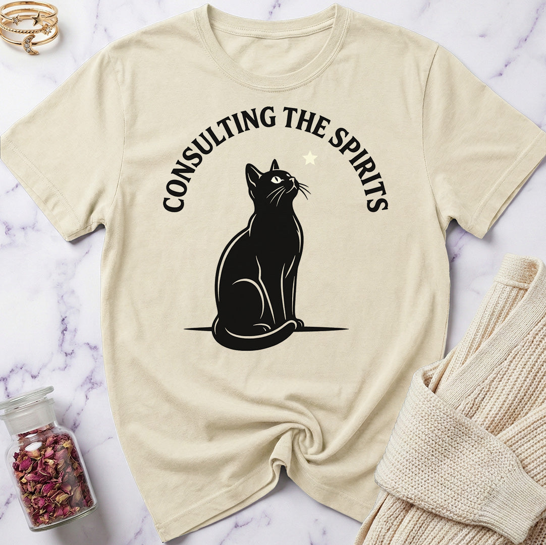 Consulting the Spirits T-Shirt