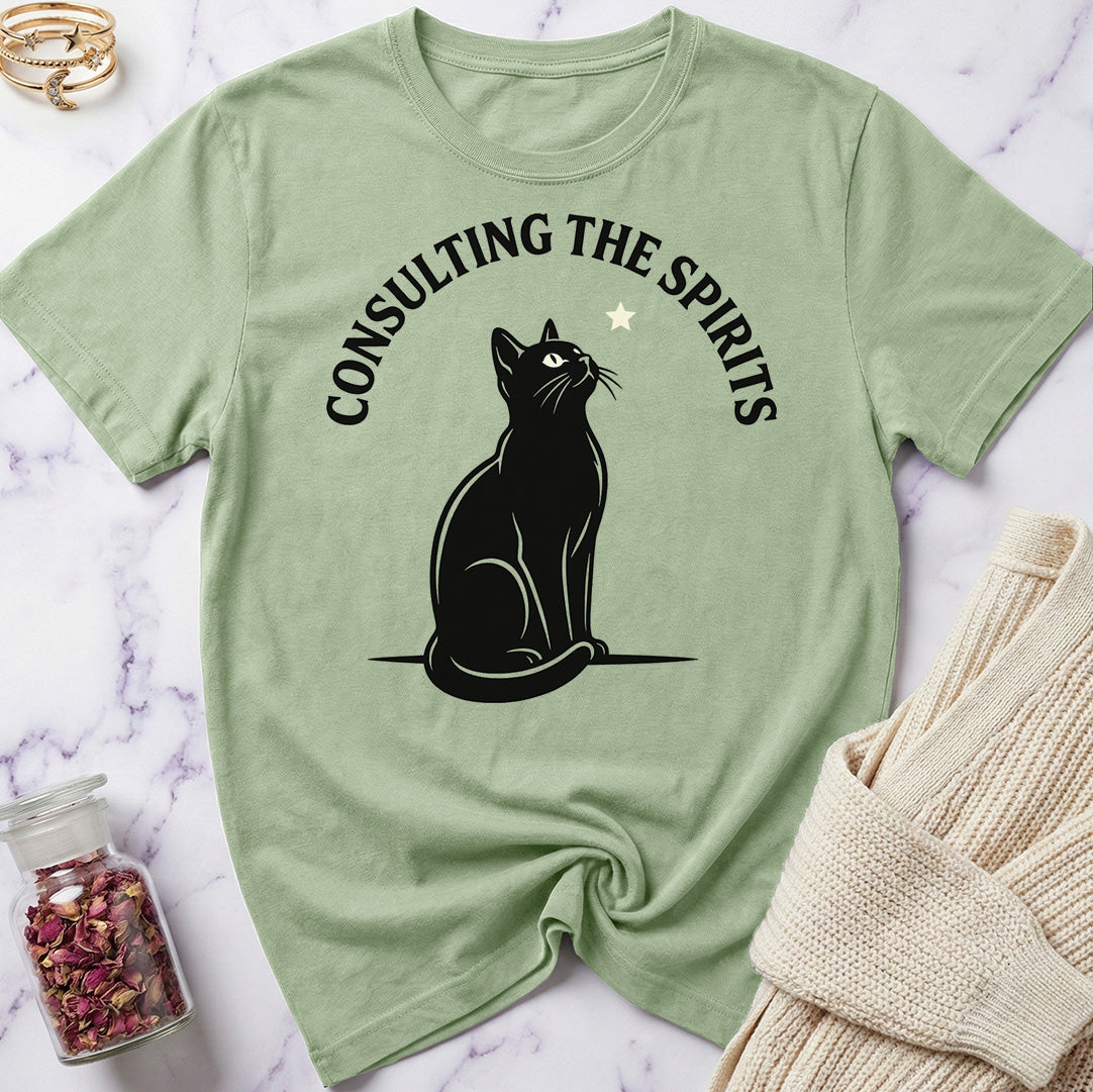Consulting the Spirits T-Shirt